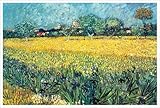 IMAGE OF View of Arles with Irises in the Foreground Art Print Poster by Vincent Van Gogh