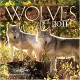 Wolves 2011