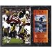 Troy Polamalu Pittsburgh Steelers 12x15 Super Bowl XLIII Plaque with Replica Ticket