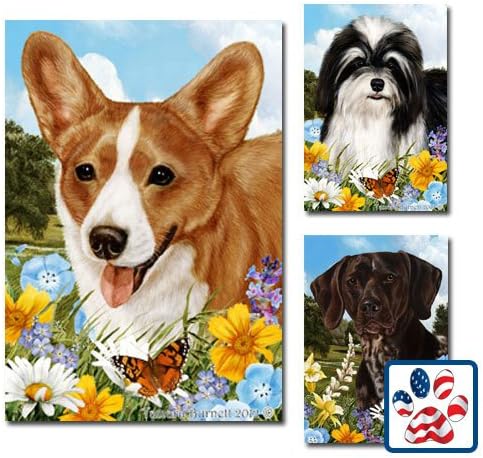Summer Flowers Full Flag - Brown and White Cavalier King Charles Spaniel