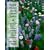 Native Plants in the Coastal Garden: A Guide for Gardeners in British Columbia and the Pacific Northwest