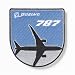787 Horizon Patch