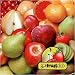 GotFruit Monthly Fruit Club
