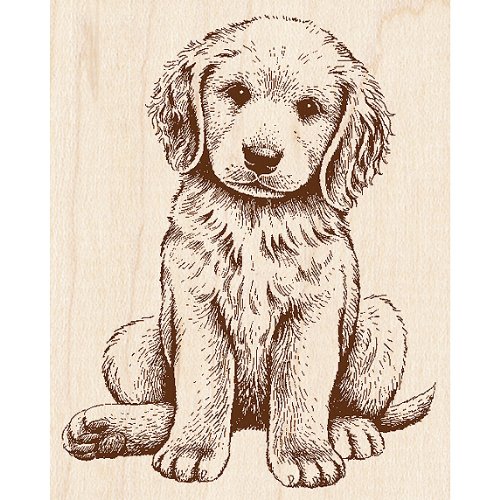 Rubber Stamp w/Wood Handle: Baby Retriever Puppy Dog