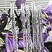 Weststone - Reusable 50pcs Clear bubble Acrylic sticks for cake pop lollipop candy or cake topper