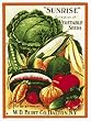 Sunrise Vegetable Seeds Porcelain Refrigerator Magnet