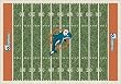 Miami Dolphins 3' 10" x 5' 4" NFL Home Field Area Rug
