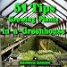 51 Tips - Growing Plants In A Greenhouse 51 Tips - Growing Plants In A Greenhouse