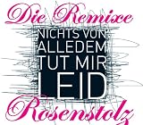 Nichts von alledem (tut mir leid). Die Remixe - Rosenstolz