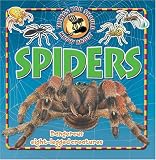 10 Things About Spiders (10 Things You Should Know Series)