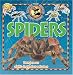 10 Things About Spiders (10 Things You Should Know Series)