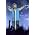 Thumbnail image of Bon Jovi