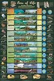 Laminated Eras of Life Poster 24x36