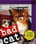 Bad Cat Page-A-Day Calendar 2007 (Page-A-Day Calendars)