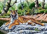Eigenschaften Mammut A30CCS12 / Tiger - Malen nach Zahlen Classic-Collection