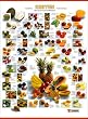 Exoten. Obst aus den Tropen und Subtropen. Poster