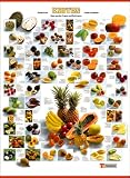 Produkt-Bild: Exoten. Obst aus den Tropen und Subtropen. Poster