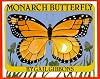 Monarch Butterfly