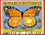 Monarch Butterfly