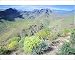 Photographic Prints of Mountain landscape with blooming flowers, Gran Canaria, Canary Islands, Spain, from Robert Harding
