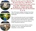 The Fantastic How To Earn Extra Money, Success Principles and Sales Models for Acrylic Aquariums Businesses 3 CD Power Pack