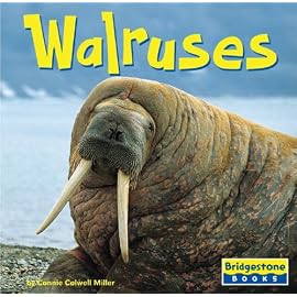 Walruses (World of Mammals)