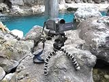picture of Joby Gorillapod for Canon 450D, 1000D,500D, Nikon D3000, D5000,D90, Sony Alpha DLSR Range, and Panasonic G1 Series - SLR Zoom