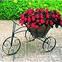 Tricycle Flower Planter
