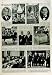 1950 People Labour Party Dorking Lowe Oxford Plummer