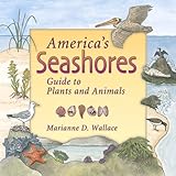 America's Seashores: Guide to Plants and Animals (America's Ecosystems)