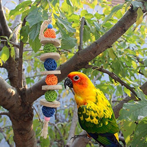Color Log bite wooden skewers medium small parrot supplies birds grasping bite Chew toys pet cage accessories for Squirrel Hamsters Rabbit blue