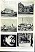 1951 Typhoon Horses Tarpan Munich Plymouth Iceland