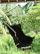 Parachute hammock chair, 'Easy Traveler'