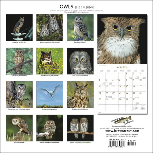 Owls 2010 Calendar