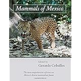 mammals of mexico