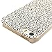 MOLLYCOOCLE Painted Series PC Case Kitty Cats Pattern Cover White Skin Shell for iPhone 5 5S 5G