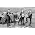Vignette de The Beatles