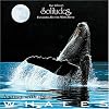 Journey With the Whales