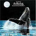 Journey With the Whales