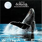 Journey With the Whales