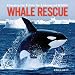 Whale Rescue: Changing the Future for Endangered Wildlife (Firefly Animal Rescue)