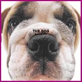 Artlist Collection the Dog 2005 Calendar Bulldog