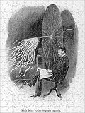 Jigsaw of NIKOLA TESLA/GOBLE 1899 from Mary Evans