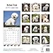 Bichon Frise Calendar - Breed Specific Bichon Frise Calendar - 2015 Wall calendars - Dog Calendars - Monthly Wall Calendar by Avonside