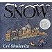 Snow (Sunburst Books)