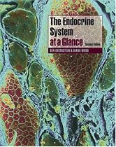 The Endocrine System at a Glance
