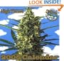 High Times 2005 Calendar