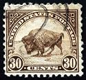 American Bison - 36"W x 33"H - Peel and Stick Wall Decal by Wallmonkeys