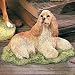 cocker spaniel - Sherratt & Simpson Cocker Spaniel Lying
