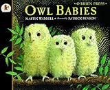 Owl babies